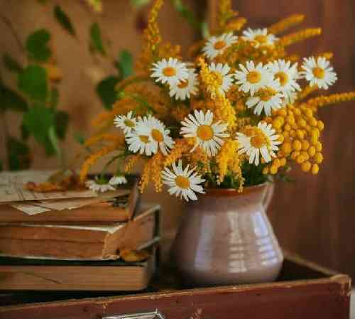 مهربان من اکسیر جان من